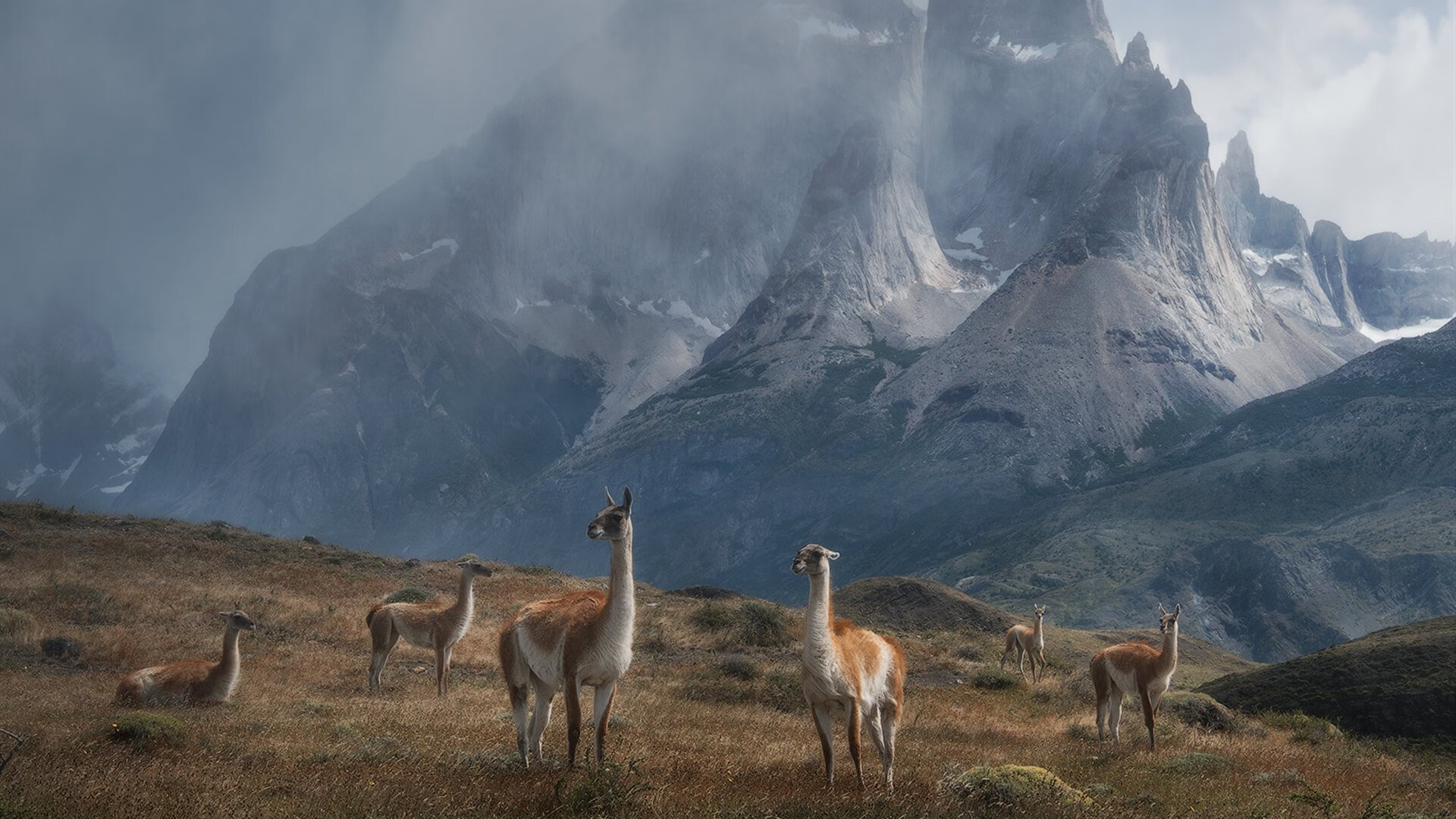 中国足球产业界开启创新创业大赛,足球创新创业计划书