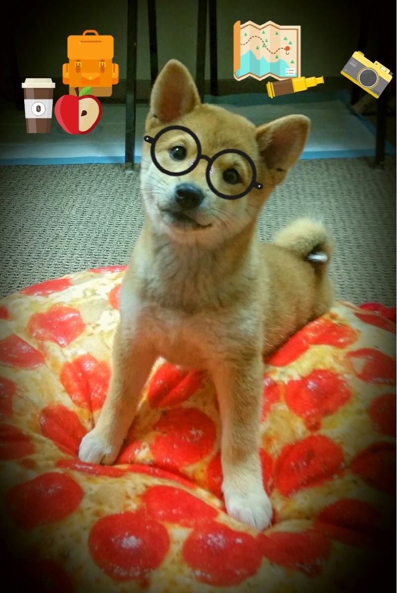 中国青少年足球“云课堂”覆盖面不断扩大,行业普及迅速推进,中国青少年足球比赛视频