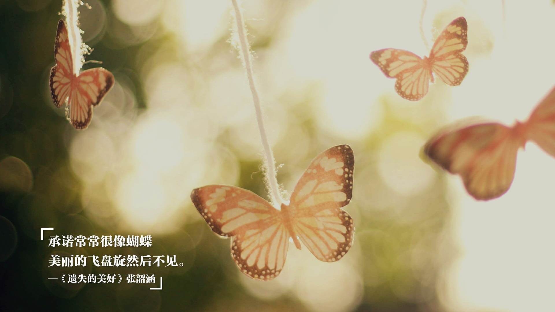 埃尔·哈努斯在巴黎奥运会男足比赛中表现出色