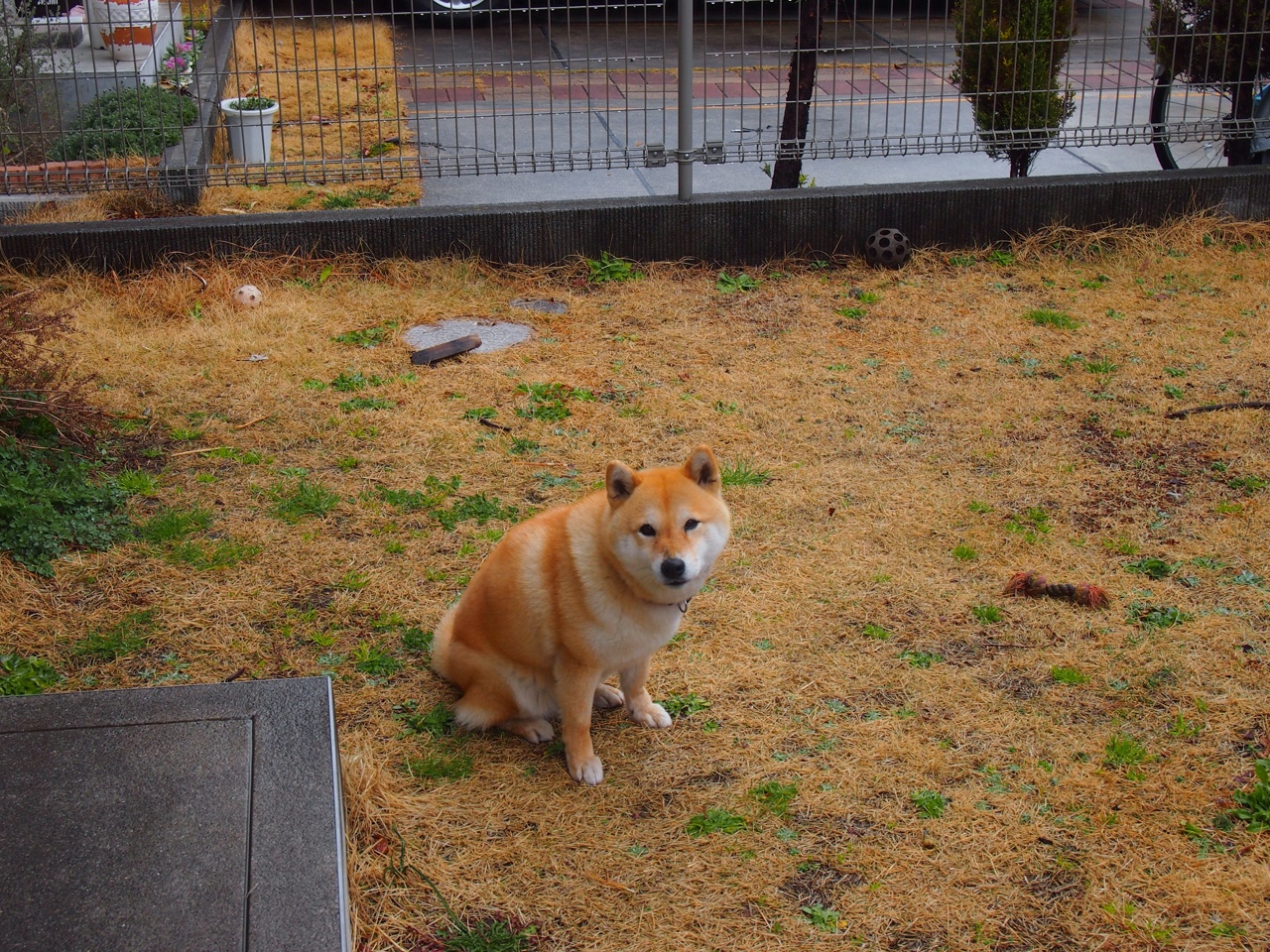 山东高速男篮新赛季目标明确，全力冲击总冠军，cba新闻山东高速男篮