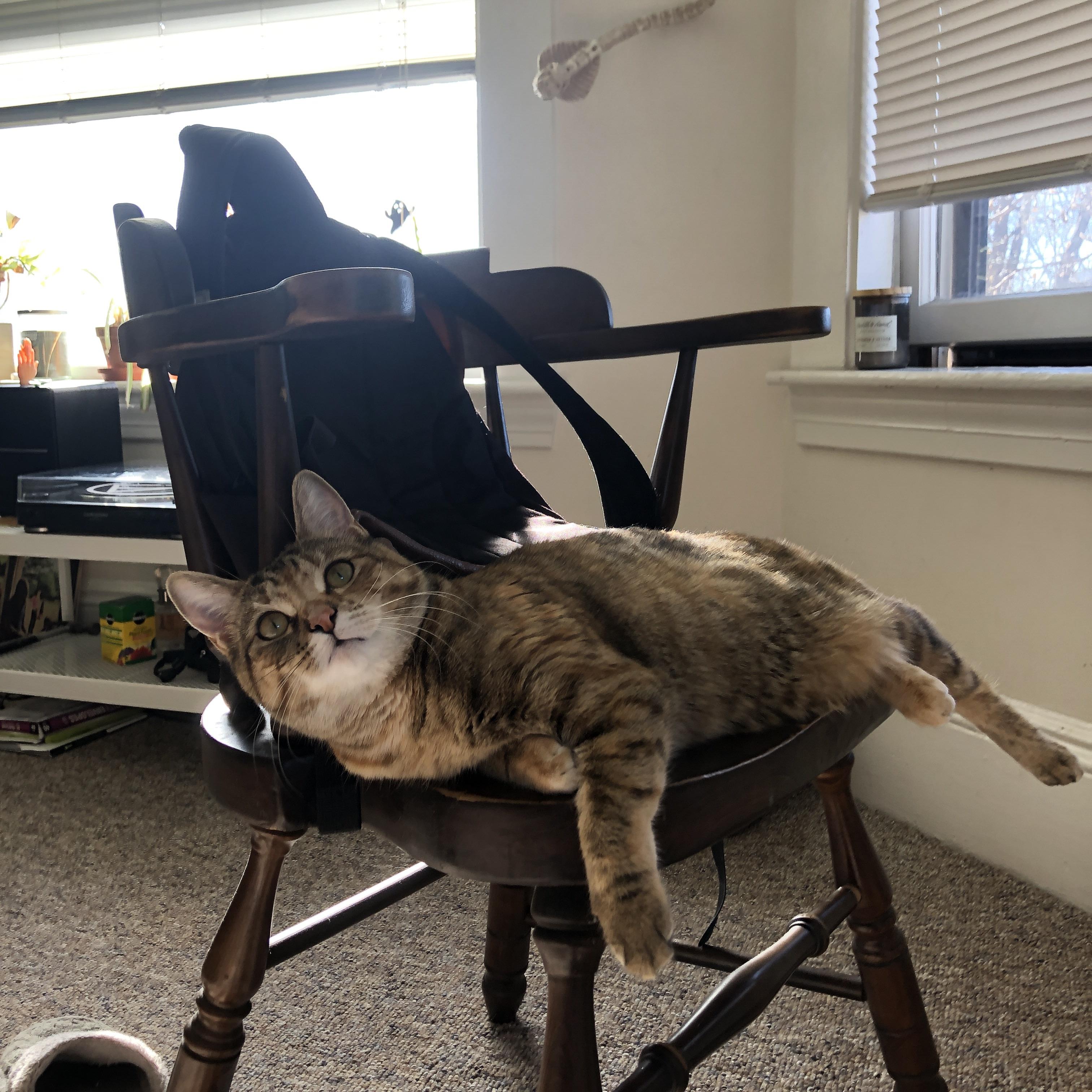 开云彩票-德国马术队在2024年国际马术联合会障碍赛世界巡回赛中获得团体第五名，展现强大实力。