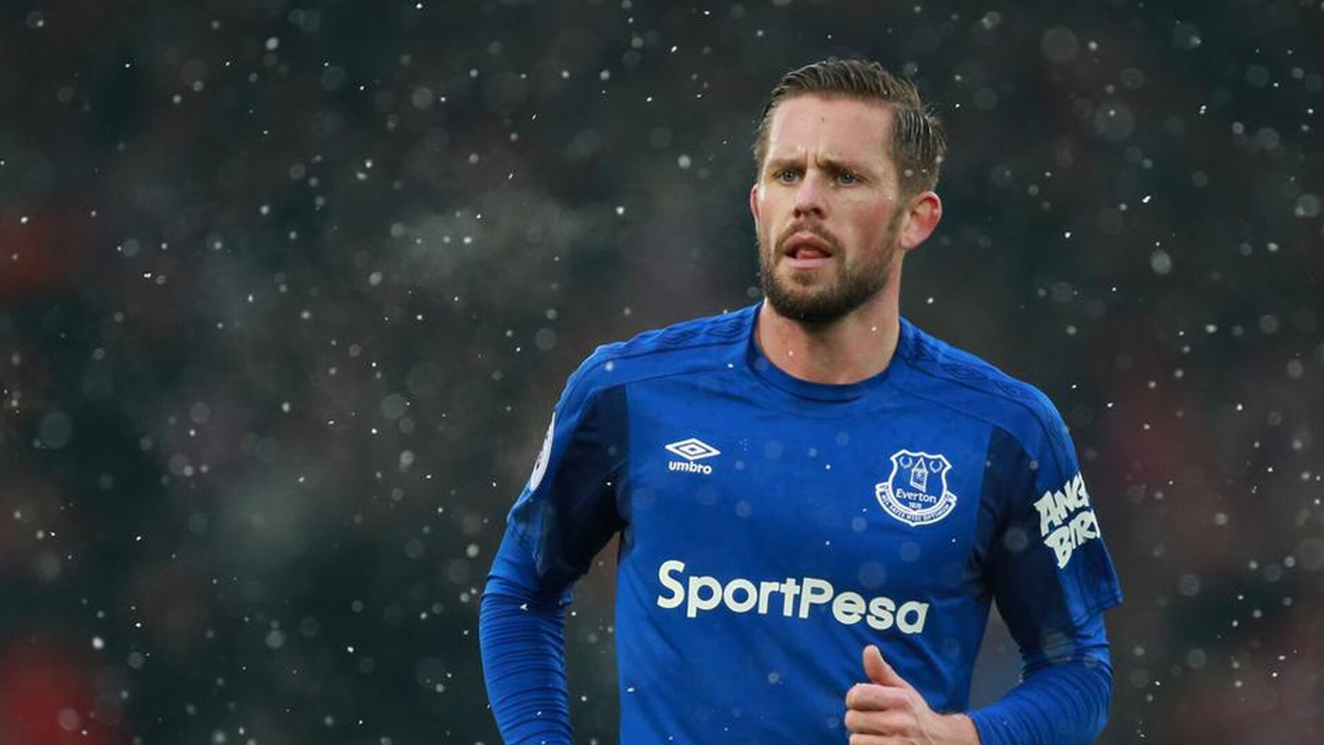 国家高山滑雪队新闻中心确认专项训练安排，全国高山滑雪项目建设发展研讨会于二零一七年几月召开