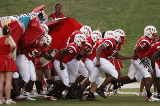 开云体育网页入口-威少强势复出奇才球队重返前八，威少奇才首秀